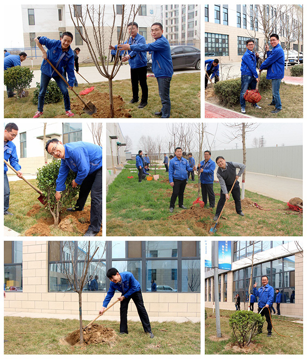 腾博汇游戏官网·(中国)专业服务,诚信为本